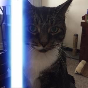 Meet your Posher, Tim